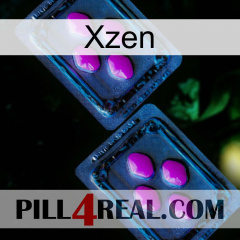 Xzen 03